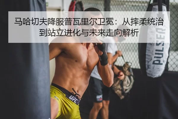 ma-ha-qie-fu-xiang-fu-pu-wa-li-er-wei-mian-cong-shuai-rou-tong-zhi-dao-zhan-li-jin-hua-yu-wei-lai-zou-xiang-jie-xi-2-792.jpg