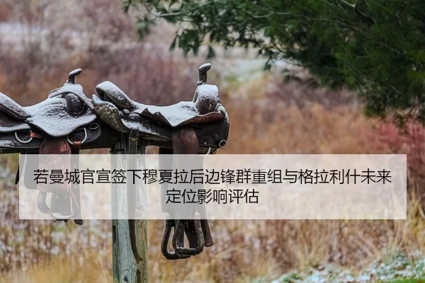 ruo-man-cheng-guan-xuan-qian-xia-mu-xia-la-hou-bian-feng-qun-chong-zu-yu-ge-la-li-shen-wei-lai-ding-wei-ying-xiang-ping-2-545.jpg