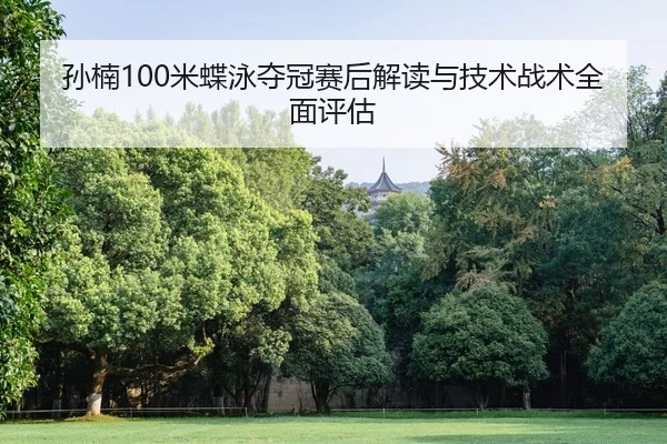 孙楠100米蝶泳夺冠赛后解读与技术战术全面评估